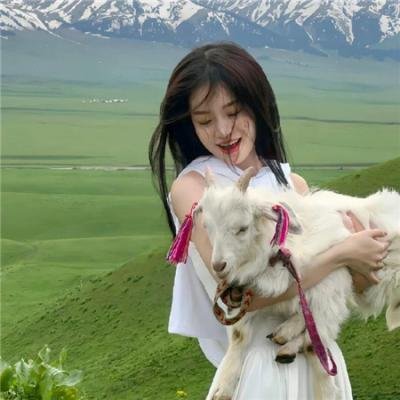 犬之心